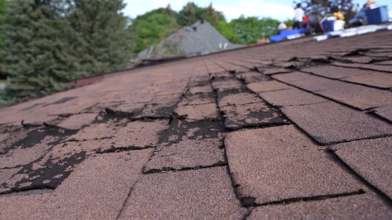 Best Roof Ventilation Installation  in Mayfair, CA